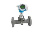 Proline Prowirl - Model C 200 - Vortex Flowmeter