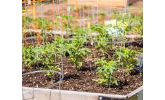 Glamos - Round Tomato Cages