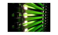 Photobioreactor with Microalgae