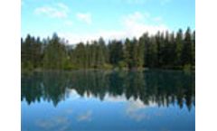 Forest leaders agree on principles for sustainable forestry