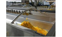 Vincent - Bare Screw Conveyor