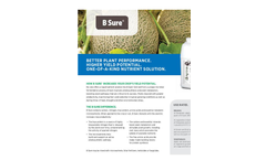 B-Sure PTB Vegetables - Brochure