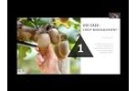 Fuzzy Data: Measuring Dry Matter & Brix in Kiwi WEBINAR - Video