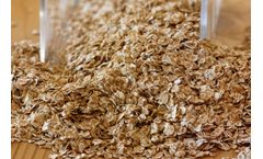 Industrial screening solutions for food and beverage industry