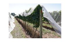 Acetic Acid Herbicide - Natural Herbicide - Glyphosate Free Herbicide