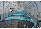 Powell Water - Microalgae System (PWMAS) Lagoon Optimization