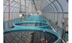 Powell Water - Microalgae System (PWMAS) Lagoon Optimization