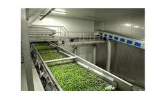 Speissens - Glazing Vibrators