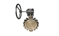 LOV - Double Offset Butterfly Valve