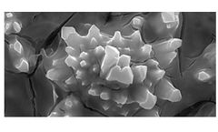 De-Nora - Cathodes for Hydrogen Evolution in Alkaline Water Electrolysis