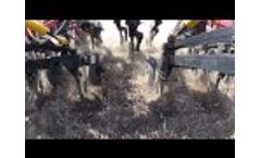 Spur Series - Dutch Openers Video