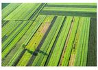 Farm/IT Resource Optimization in Agriculture