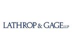 Banking and Creditors` Rights Litigation Services