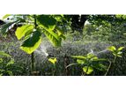 Drip Irrigation Systems