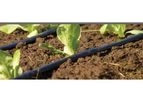 Damla Plast - Drip Irrigation System