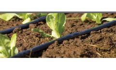 Damla Plast - Drip Irrigation System