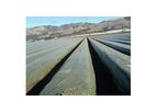 Poly-Hort - Mulch Film