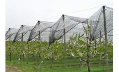 Poly-Hort - Hail Protection Nets