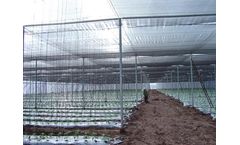 Poly-Hort - Anti Insects Nets