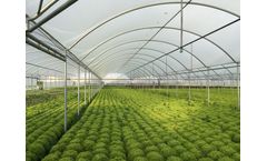 Poly-Hort - Greenhouse & Tunnel Film