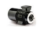 Lafert - Model IE1 & IE2 - High Torque AC Brake Motors