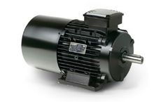 Lafert - Model IE - DC High Torque Brake Motor