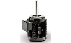 Lafert - Model IE2/CURUS - High Efficiency Motors