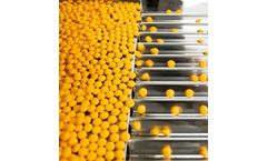 Air Pollution Control Solution for Pharmaceutical Production Industry