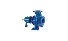 Care-Well - Model CWPCF - Chemical Process Pump