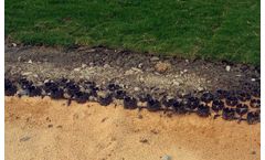 IMPTREX - Plastic Grass Pavers