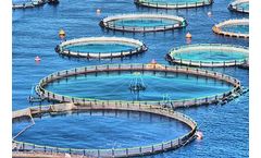 Kuzeyboru - Fish Farming Cages