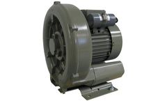 APPL-DG - Model 300-31TS - Single Stage Regenerative Blowers