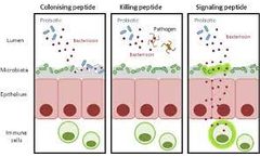 Creative BioMart Microbe Provides One-Stop Service for Bacteriocin Production