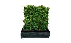 Devron - Indoor Green Living Fence