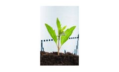 Fertilizer