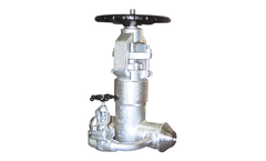 Chaote - Model API - Cast Steel Gate Valves