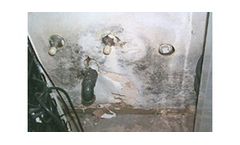 Mold Services