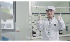 Company - Video