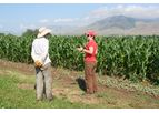 The Modern Plant Breeding Triangle