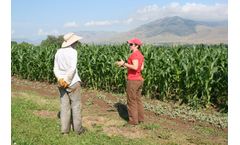 The Modern Plant Breeding Triangle