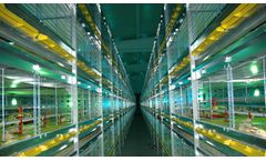 HIZCO - Broiler Cage System