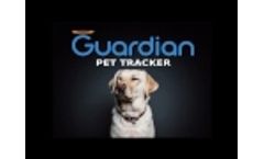 CTO of Gopher Protocol (OTC: GOPH) Talks about Guardian Pet Tracker Video