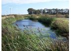 Wetlands and Protected Spaces Services