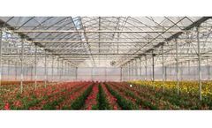 H2greenPRO - Model Pro G - GOTHIC Greenhouses