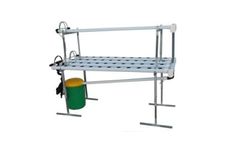 H2 - Model NFT - Popular and Productive System