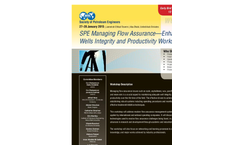 SPE Managing Flow Assurance—Enhancing Wells Integrity and Productivity Workshop - Brochure