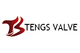 Tengs Valve International Limited