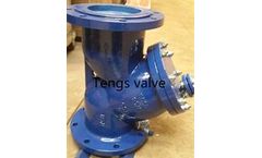 Tengs Valve - Model SY - Industrial Cast Steel Y Type Strainer