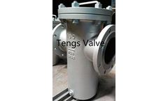 Tengs Valve - Model SB - Industrial Basket Strainer