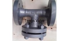Tengs Valve - Model ST - Fabricated Tee Type Strainer